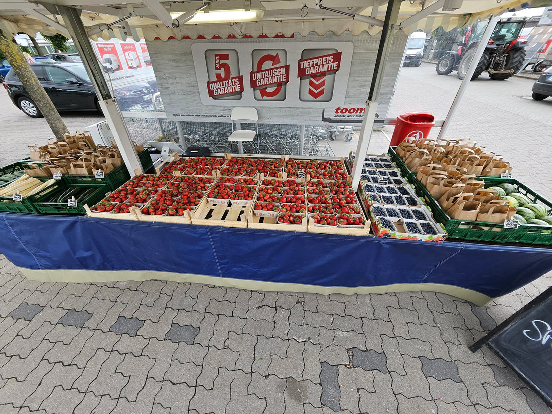 Verkaufsstand am Baumarkt