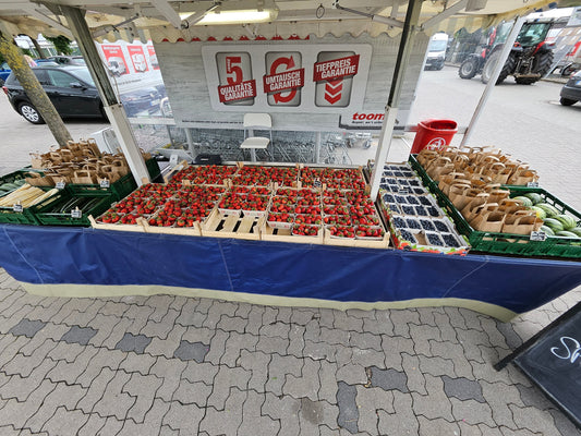 Verkaufsstand am Baumarkt