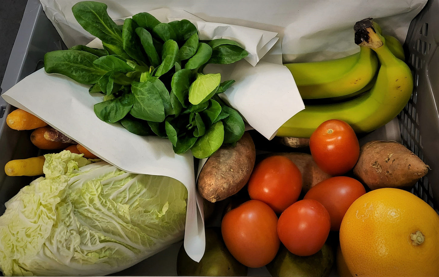 Single/Seniorenkiste