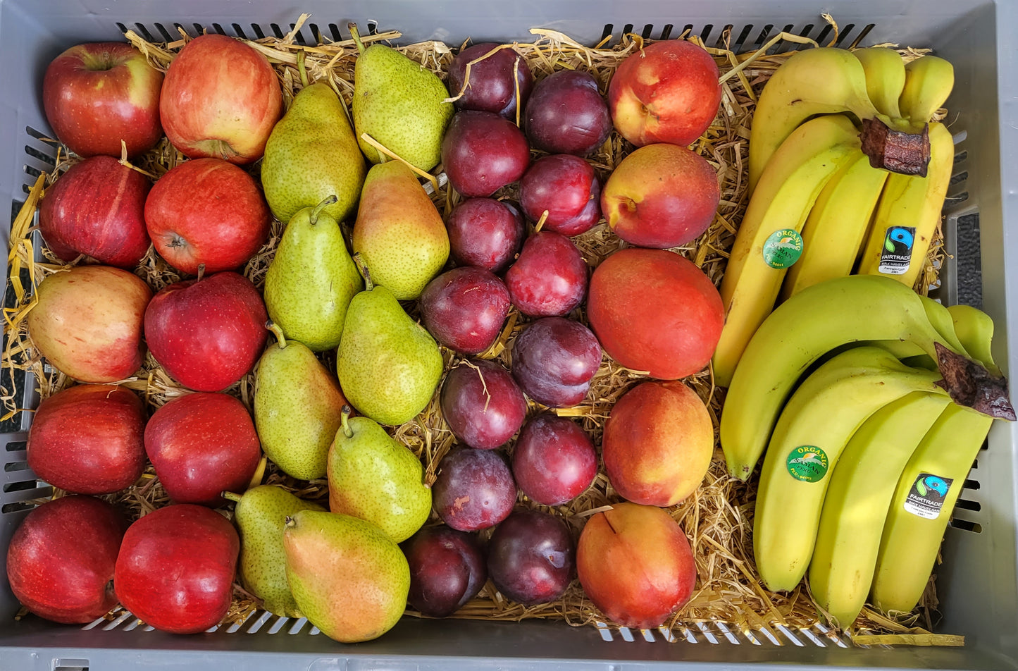 Bürokiste Obst klein