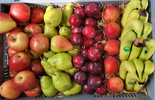 Bürokiste Obst mittel