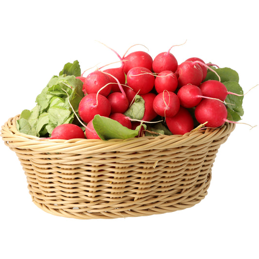 Bio Radieschen