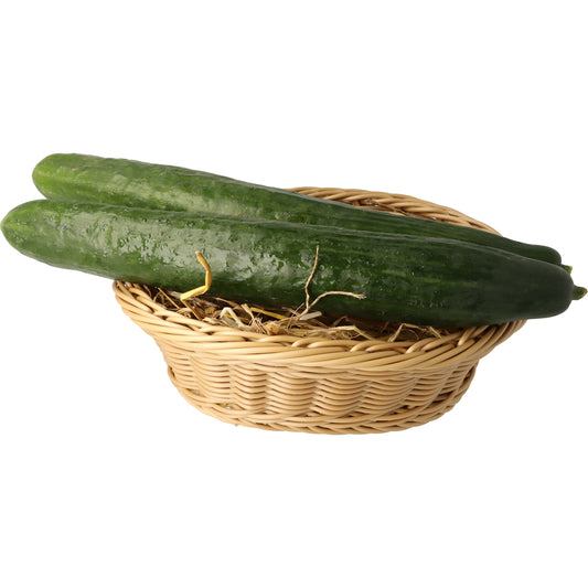 Bio Gurken